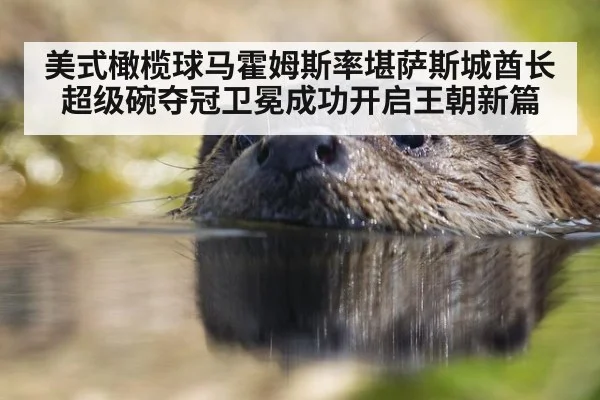美式橄榄球马霍姆斯率堪萨斯城酋长超级碗夺冠卫冕成功开启王朝新篇